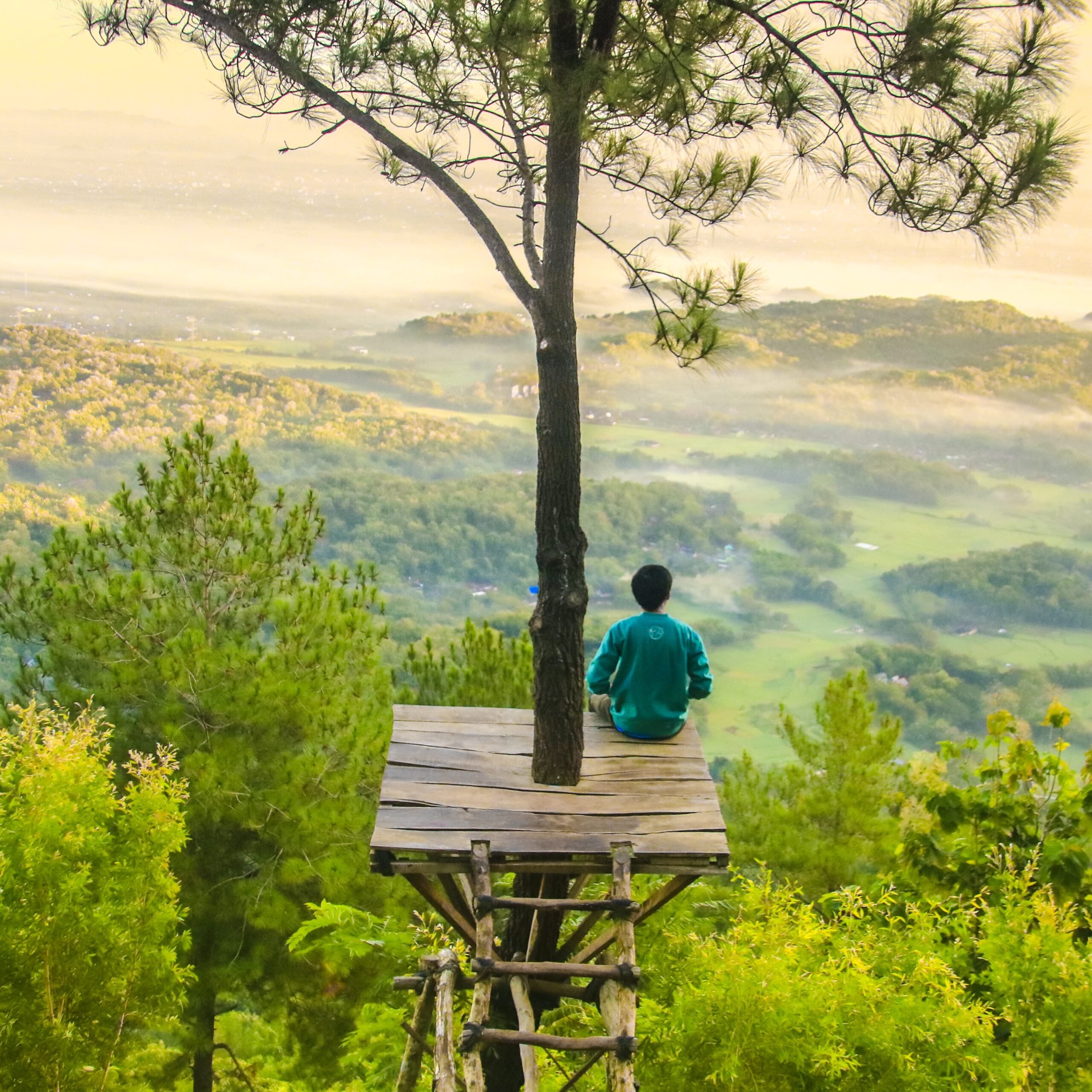 Meditating on top of a tree